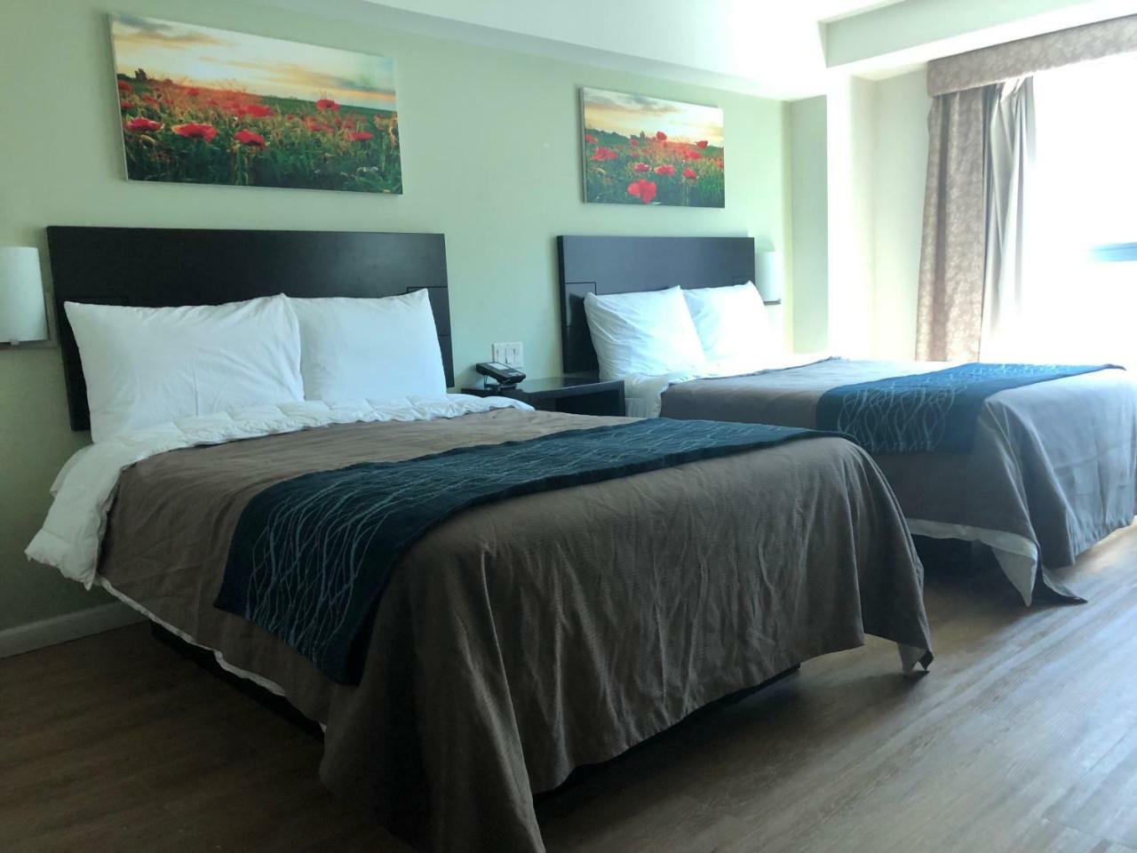 Comfort Inn & Suites - Kew Gardens Near La Guardia Airport New York Eksteriør bilde